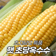 초당옥수수라떼