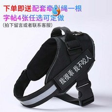 f05ae83157cd22cc4fcb1e043791b7b9c2d010480c7b229b05d7999476dd.jpg