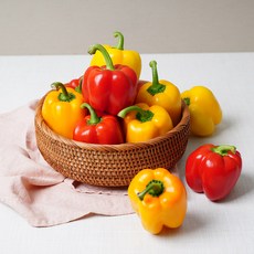 국내산 못난이 파프리카 중량별 골라담기, 1박스, 04. 못난이 파프리카 5kg(삼색혼합)