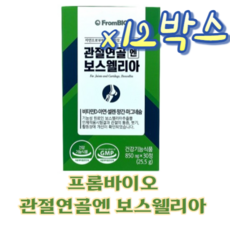 식약처 인증 프롬바이오 이병헌 관절 연골 엔 보스웰리아 3개월 6개월 9개월 12개월 분 무릎 남 여 성 뼈 건강 영양제 부모님 선물 보스웰니아 보수웰리아 보스엘리아 약통, 6개월(12박스), 12개