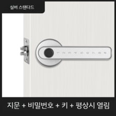 지문인식도어락 상가 도어록 손잡이 사무실 보안, (실버 스탠다드)