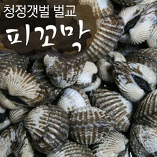 보성 벌교여자만 피꼬막 2kg (상품) 산지직송, A, 1개