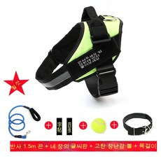 반려동물스노우볼