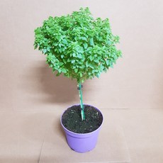 c07e5ead389b013fbced6f4a7774174c4c164e343456168b0c1b3b35ba2d.jpg