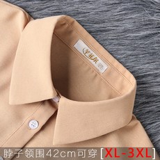 넥케이프액세서리장식