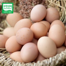 [생산자직송] 무항생제 당일낳은 친환경 동물복지 유정란 30구, 단품, 1개, 단품