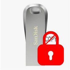 USB 3.1 복사방지 32g 복제방지 락 데이터 문서보안프로 보호 (10개이상 구입시 업계최저가 견적), 보안USB