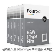 폴라로이드i타입