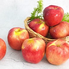 더조은 경북 홍로 사과 가정용 2kg 7-9과, 1개