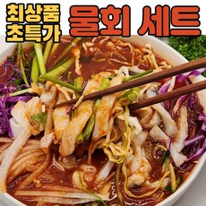 (최상품) 국내산 통영 남해 신선 맛있는 물회 산지직송 오징어물회 갑오징어물회 꽁치물회 학꽁치물회 야채 세트 밀키트, (1) 갑오징어 물회 1인세트