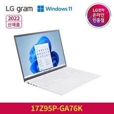 lg 그램 +view