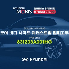 hg웨더스트립