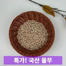 일등농수산 국내산 율무, 1개, 500g