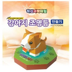 사이언스타임 강아지 조명등 만들기