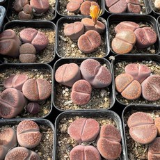 용인붓글씨공방