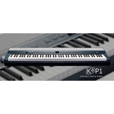 HDC영창 커즈와일 KA P1 포터블 디지털 피아노, KA P1-LB