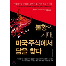 미국주식에미치다책