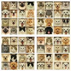 반려견 양모 액자인형 주문제작[메이크펫]