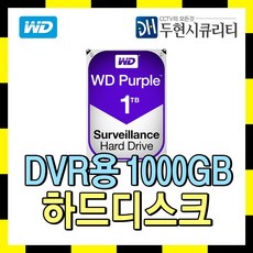 Western Digital CCTV용 저장장치 HDD, 1TB