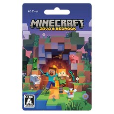 Minecraft (마인크래프트): Java & Bedrock Edition 카드 버전, 1개