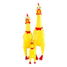//상품명