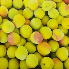 [6월7일부터 순차출고]브렌드매실의 대명사-광양 홍매실 10kg 대, 없음, 1개