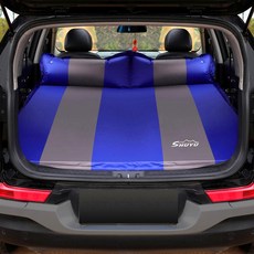 ev-500x