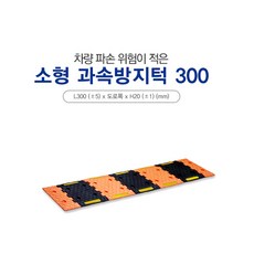 과속기준