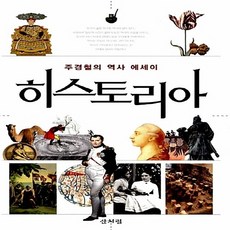 NSB9788990062444 새책-스테이책터 [히스토리아] -주경철의 역사 에세이--산처럼-주경철 지음-역사학 일반-20120510 출간-판형 152x, 히스토리아
