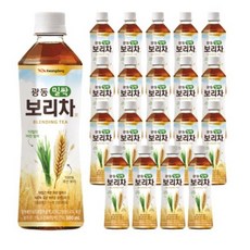 광동 밀싹보리차 500ml, 32개