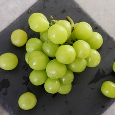 다농이네샤인머스캣