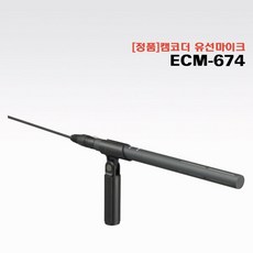 캠코더소니마이크