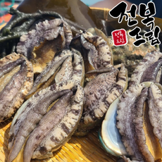 [전복드림] [완도 참전복 2Kg 7미-21미 특대선물세트, 소 17-21미 2Kg(34-42미), 1개