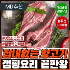 숄더렉