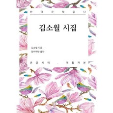 김소월시집큰글씨