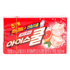 대동해모로아이스쿨
