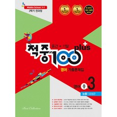 적중100플러스영어중3-2김성곤