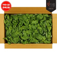 바질1kg