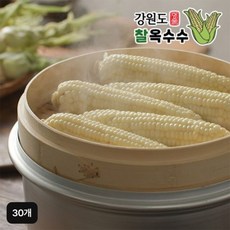 강원도 명물 횡성찰옥수수 30개