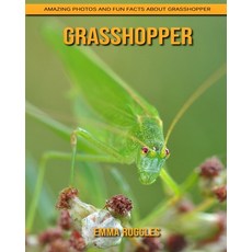 Grasshopper: Amazing Photos and Fun Facts about Grasshopper Paperback, Independently Published