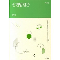 신헌법입문