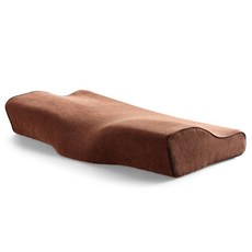 바른자세인간