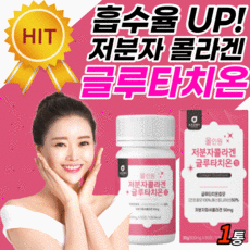 사르토르