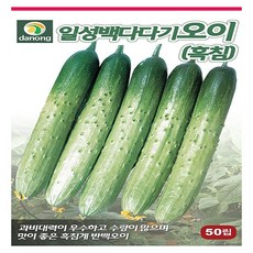 흑침백다다기오이