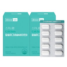 dreamtech제철제망간