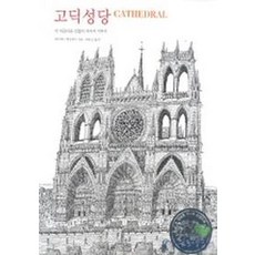 데이비드맥컬레이