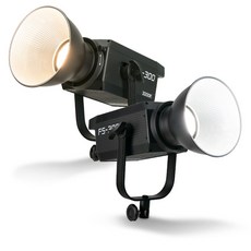 fs-300b