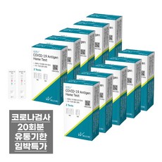 웰스바이오 코로나 검사키트 20회분 진단키트 유통기한 2025년 1월까지, 1개, 20개입