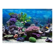 크레스티드게코포스터