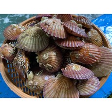 8a07322678d1799af2d885695bb26764cc0f5d2b4409e1f4aeec984cc9de.jpg